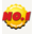 anshincredit.net-logo