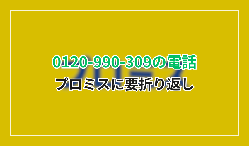 0120990309プロミス折り返し