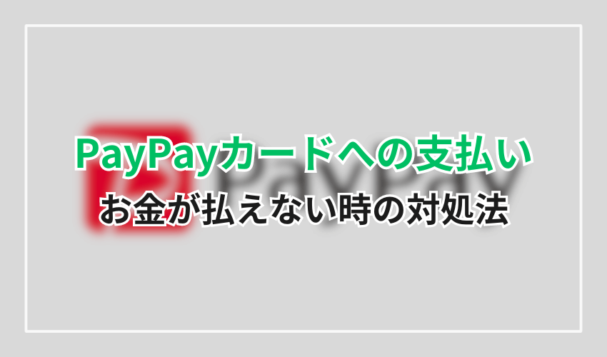 0570-005-046PayPayカードお金が払えない時の対処法