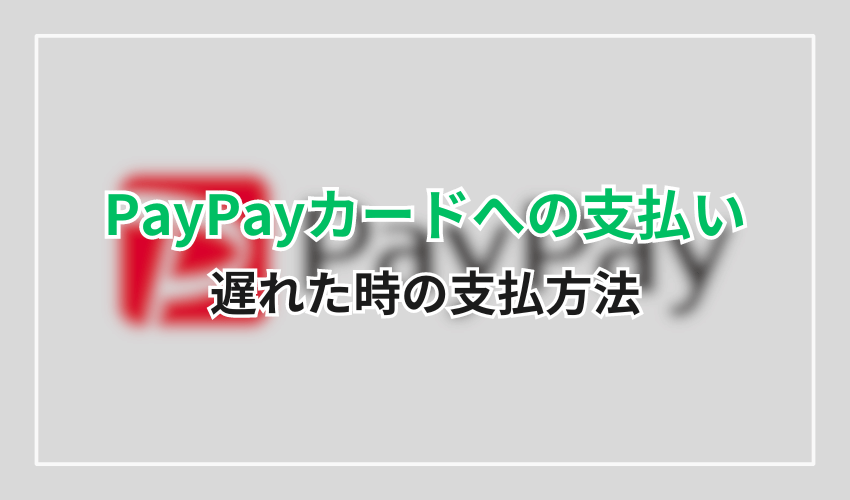 0570-005-046PayPayカード支払い方法