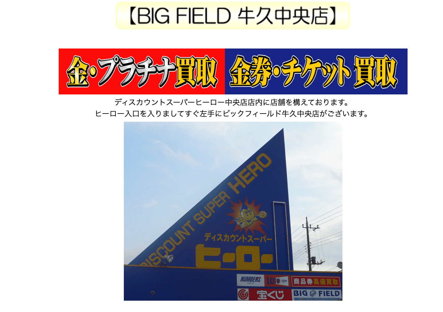 ビックフィールド牛久中央店